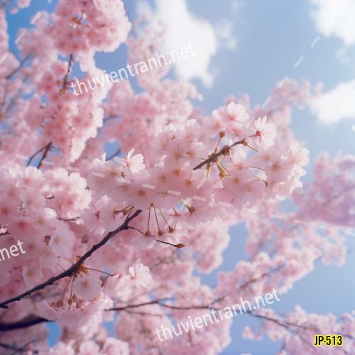 Tranh dán tường hoa anh đào-JP-513 - Tranh tường chất lượng cao